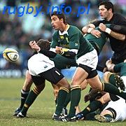 R.Pienaar